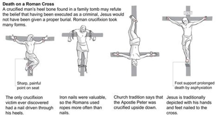 Outrageous Act: Student's Cruel Crucifixion Of Rat Exposed